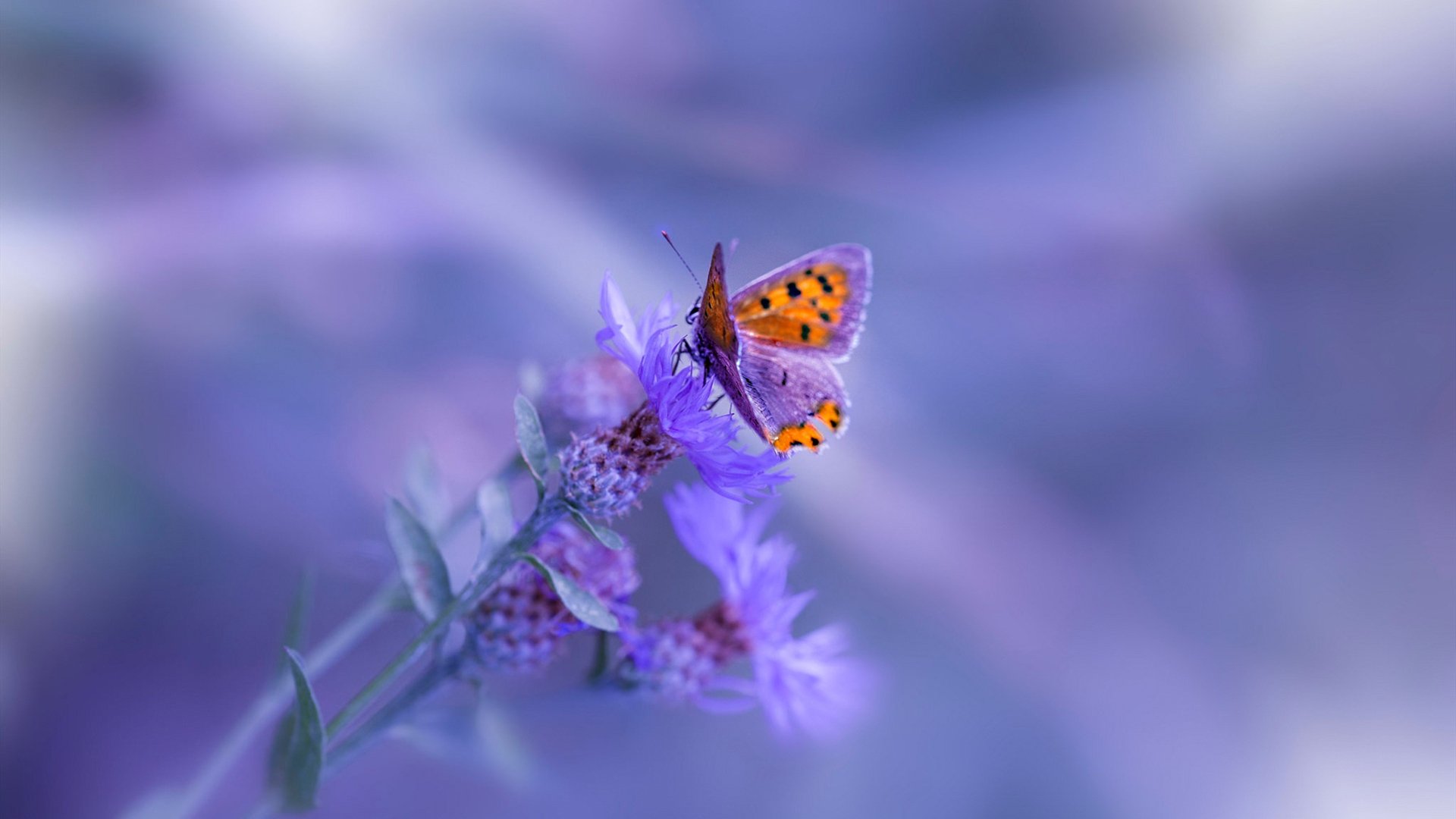 以“体育+旅游”为核心的新兴产业模式推动城市经济增长,体育旅游产业的发展